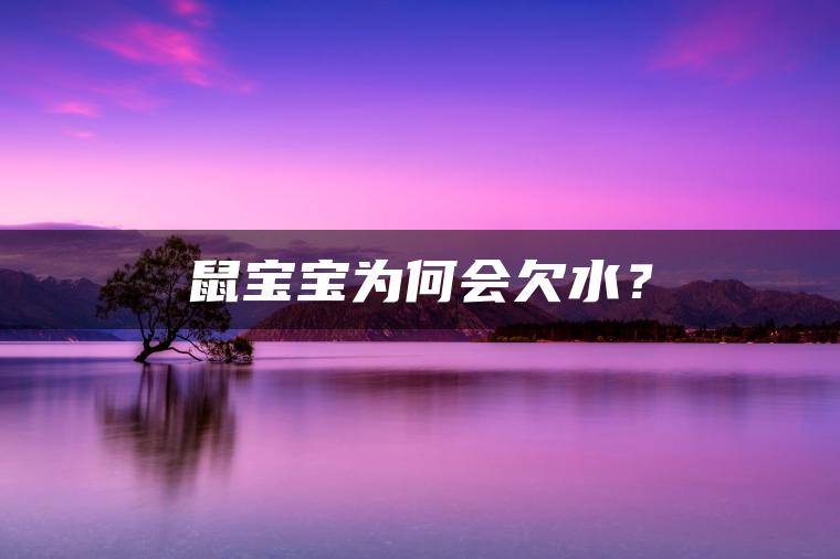 鼠宝宝为何会欠水？