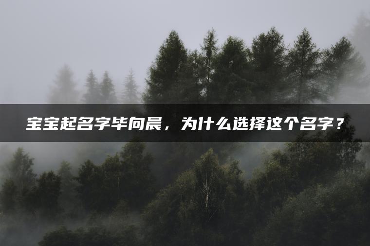 宝宝起名字毕向晨，为什么选择这个名字？