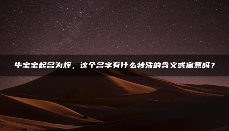 牛宝宝起名为辉，这个名字有什么特殊的含义或寓意吗？