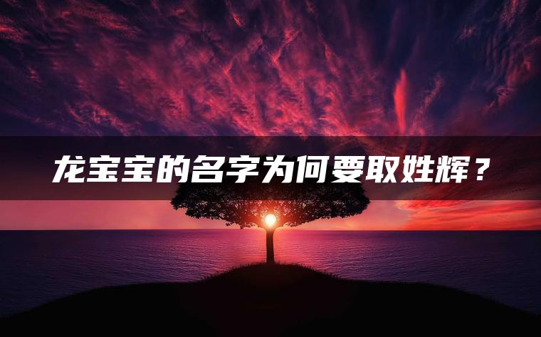 龙宝宝的名字为何要取姓辉？