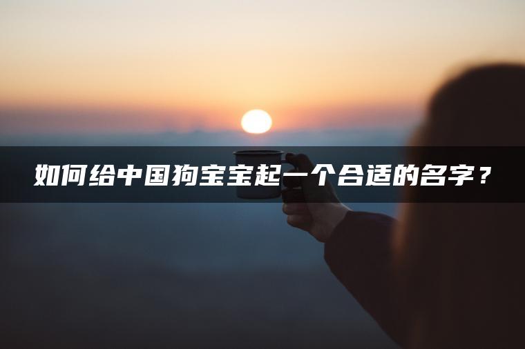 如何给中国狗宝宝起一个合适的名字？