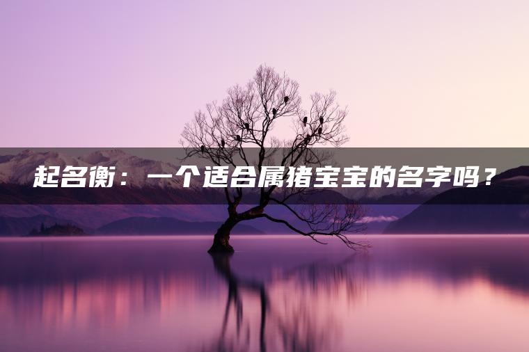 起名衡：一个适合属猪宝宝的名字吗？