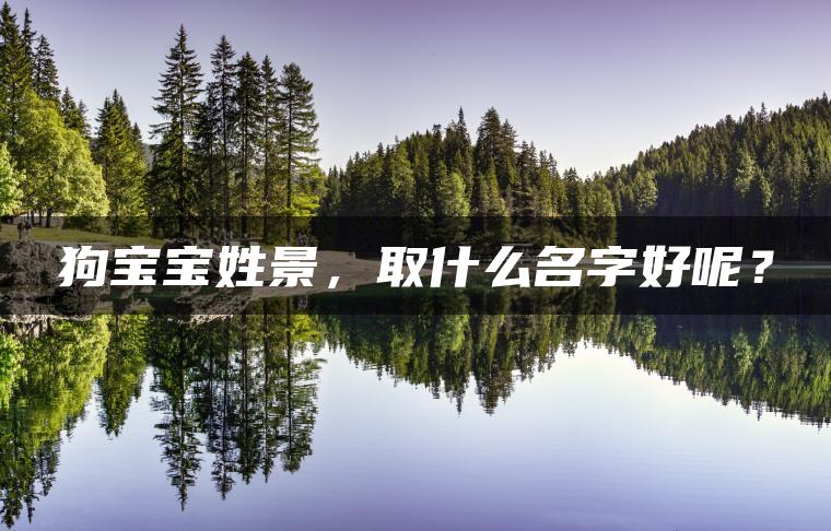 狗宝宝姓景，取什么名字好呢？