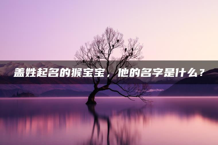 盖姓起名的猴宝宝，他的名字是什么？