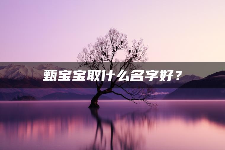 甄宝宝取什么名字好？