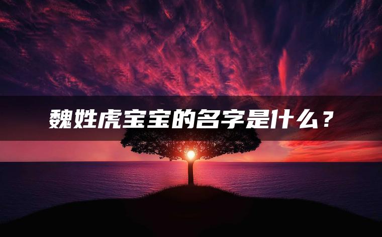 魏姓虎宝宝的名字是什么？