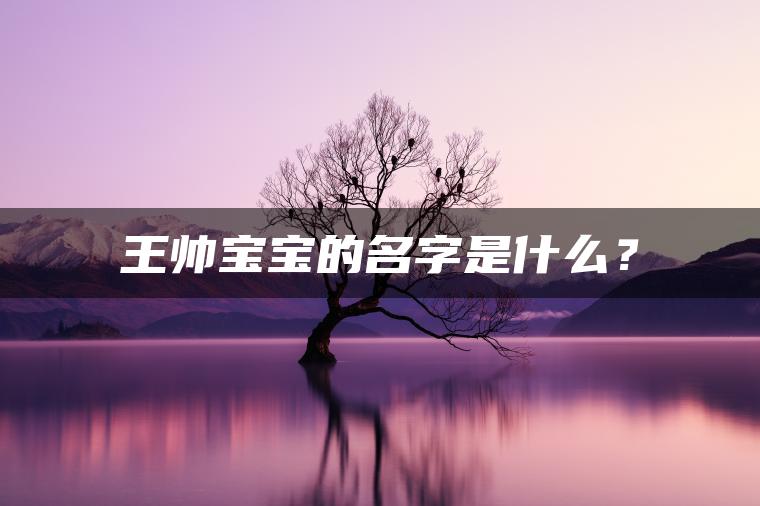 王帅宝宝的名字是什么？