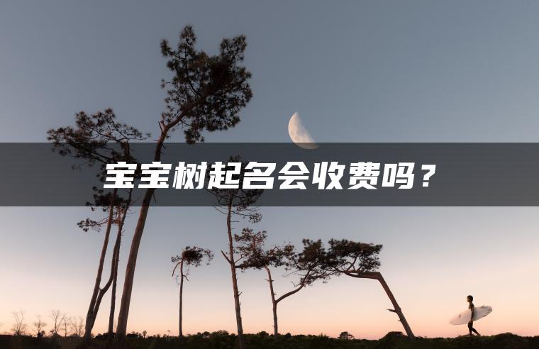 宝宝树起名会收费吗？