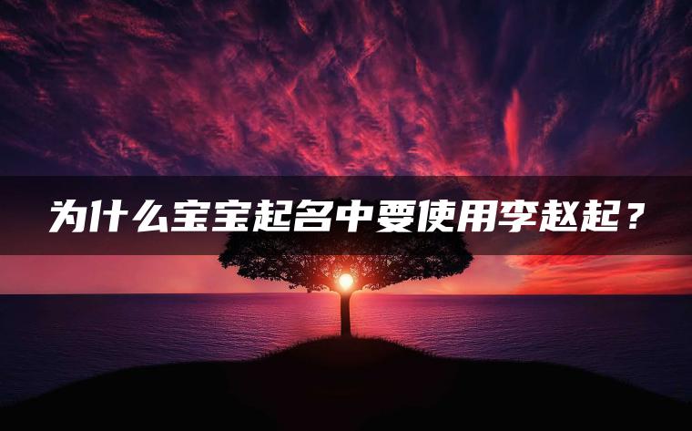 为什么宝宝起名中要使用李赵起？