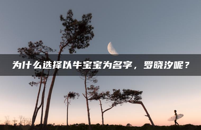 为什么选择以牛宝宝为名字，罗晓汐呢？