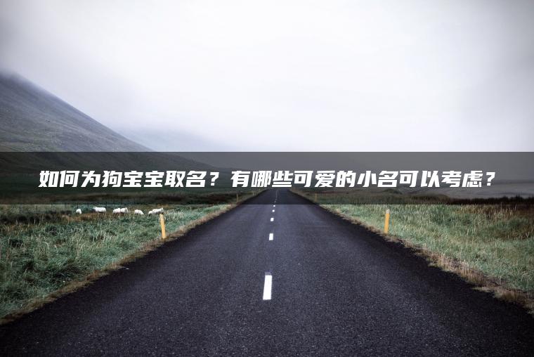 如何为狗宝宝取名？有哪些可爱的小名可以考虑？