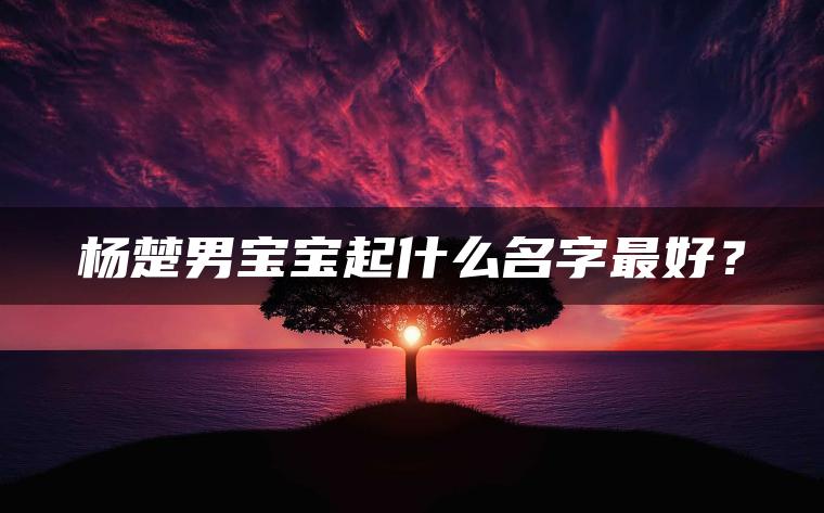 杨楚男宝宝起什么名字最好？