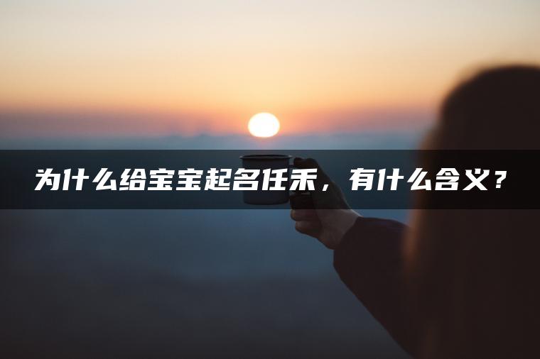 为什么给宝宝起名任禾，有什么含义？