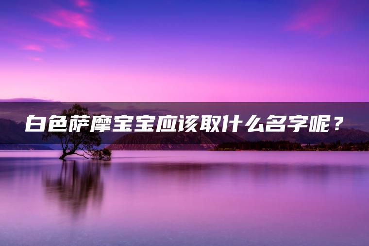 白色萨摩宝宝应该取什么名字呢？