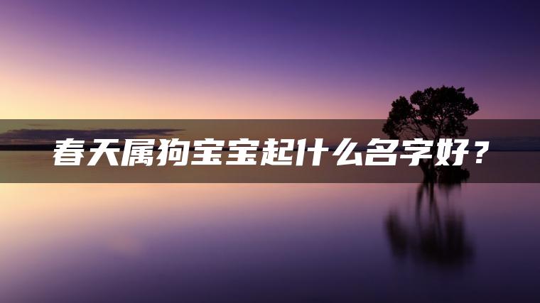 春天属狗宝宝起什么名字好？