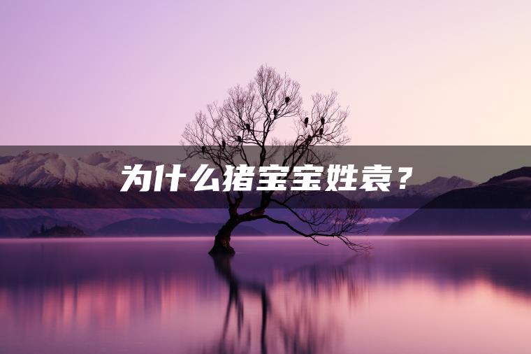 为什么猪宝宝姓袁？