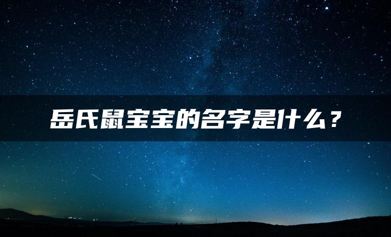 岳氏鼠宝宝的名字是什么？