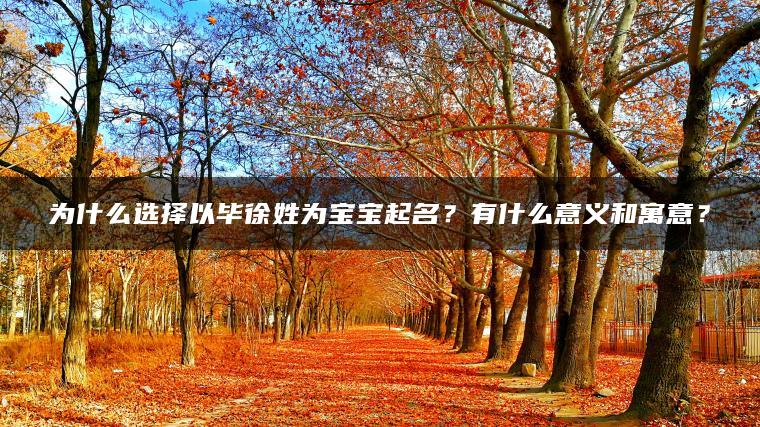 为什么选择以毕徐姓为宝宝起名？有什么意义和寓意？