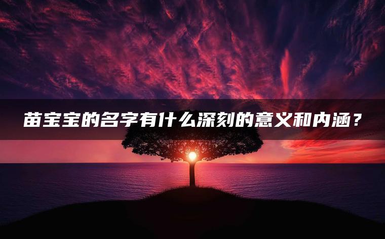 苗宝宝的名字有什么深刻的意义和内涵？