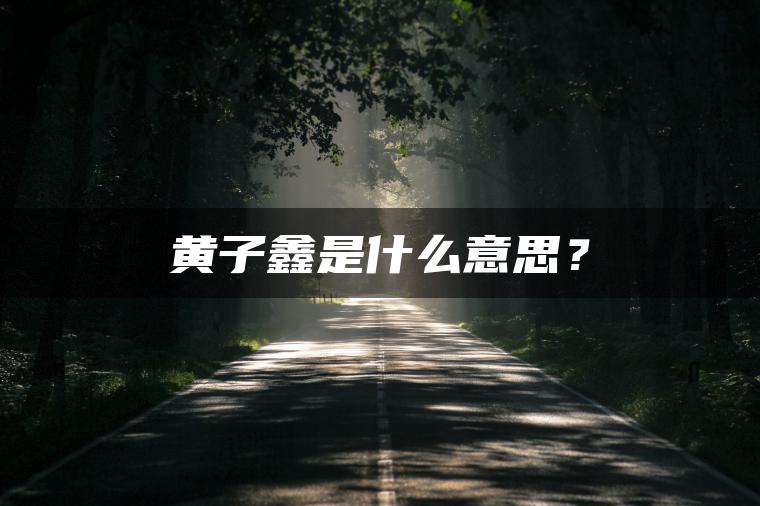 黄子鑫是什么意思？