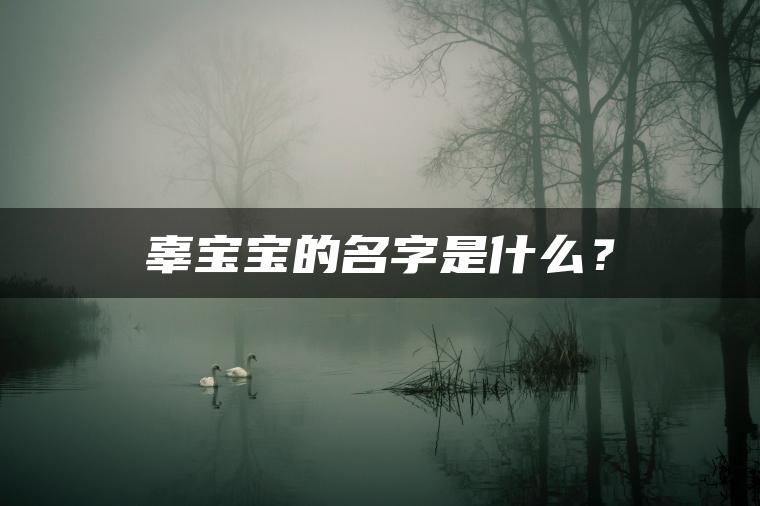 辜宝宝的名字是什么？