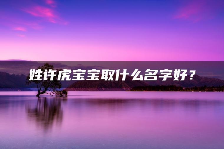 姓许虎宝宝取什么名字好？