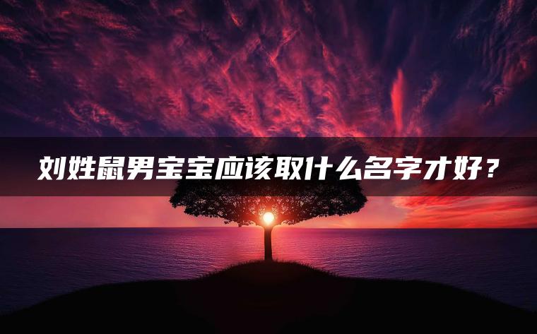 刘姓鼠男宝宝应该取什么名字才好？