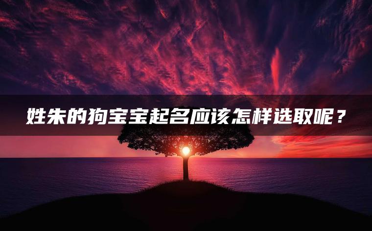 姓朱的狗宝宝起名应该怎样选取呢？