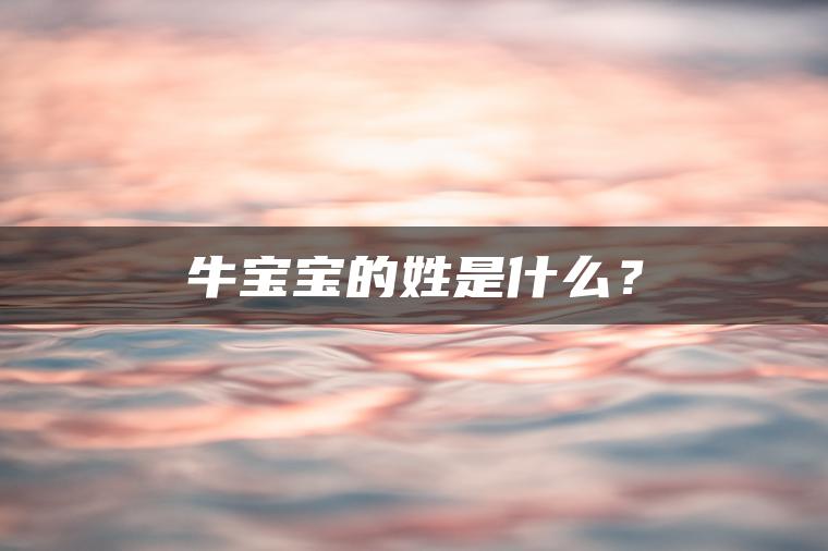 牛宝宝的姓是什么？