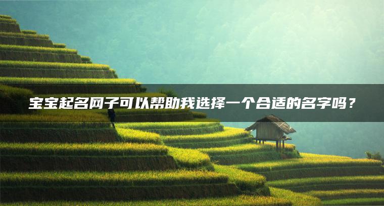 宝宝起名网子可以帮助我选择一个合适的名字吗？