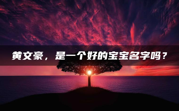 黄文豪，是一个好的宝宝名字吗？