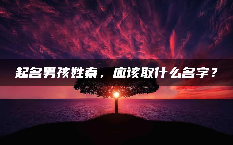 起名男孩姓秦，应该取什么名字？