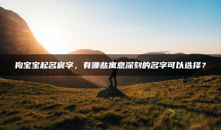 狗宝宝起名宸字，有哪些寓意深刻的名字可以选择？