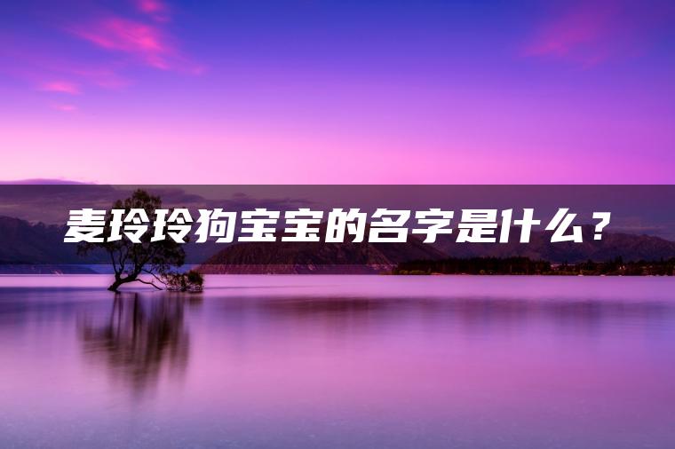 麦玲玲狗宝宝的名字是什么？