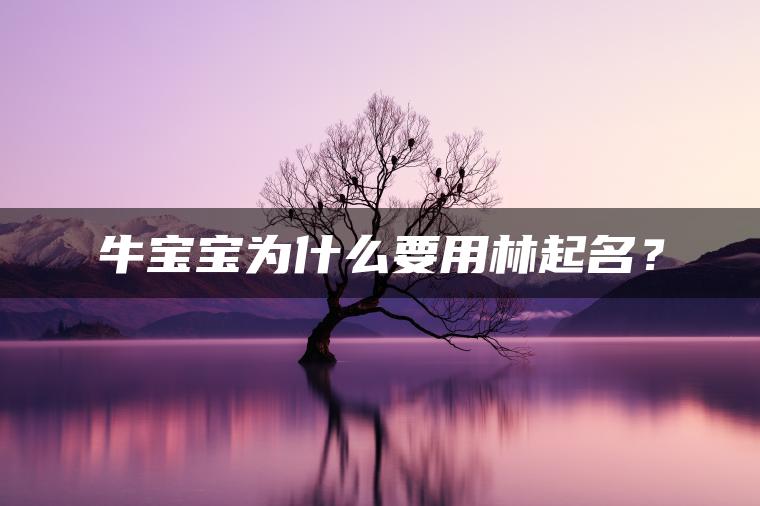 牛宝宝为什么要用林起名？