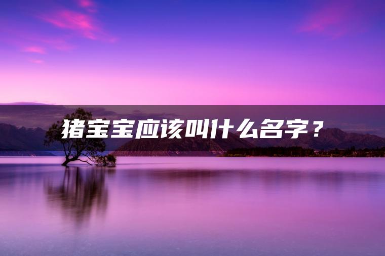 猪宝宝应该叫什么名字？