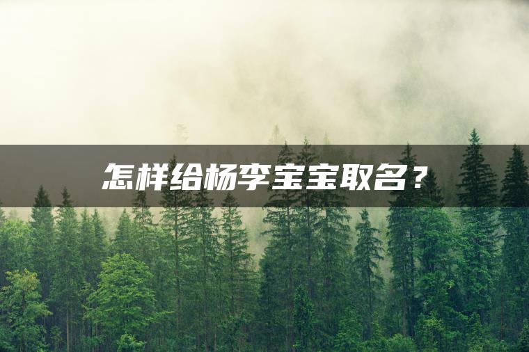 怎样给杨李宝宝取名？