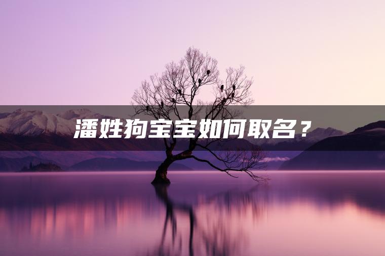 潘姓狗宝宝如何取名？