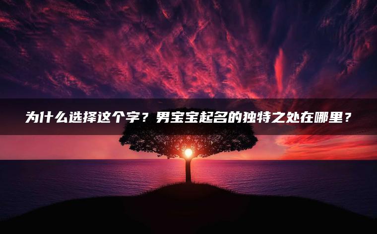 为什么选择这个字？男宝宝起名的独特之处在哪里？