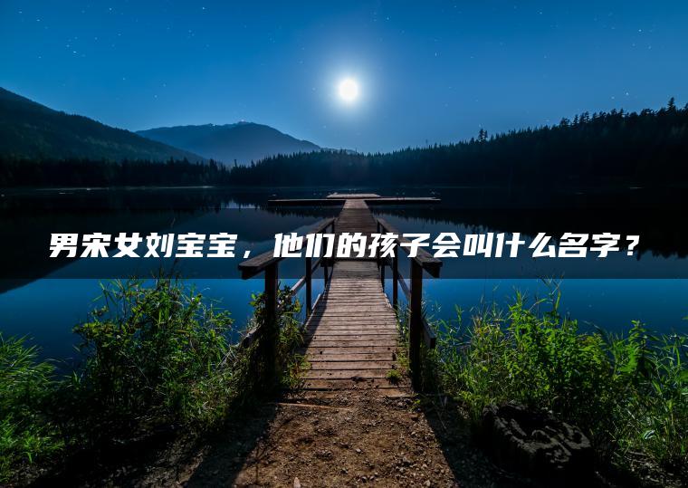 男宋女刘宝宝，他们的孩子会叫什么名字？