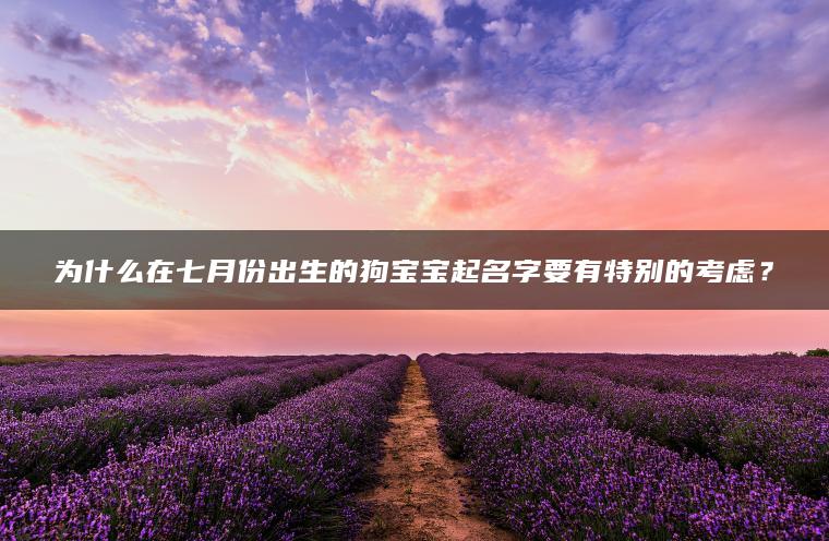 为什么在七月份出生的狗宝宝起名字要有特别的考虑？