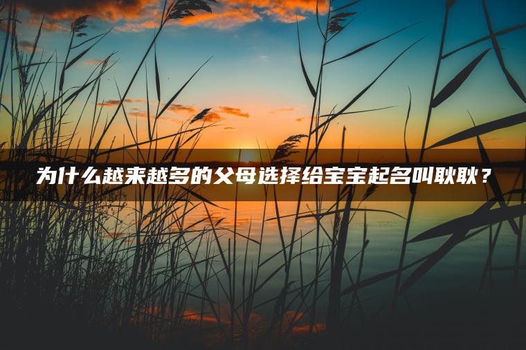 为什么越来越多的父母选择给宝宝起名叫耿耿？