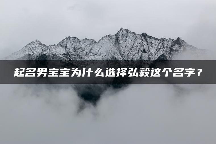 起名男宝宝为什么选择弘毅这个名字？