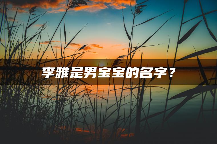 李雅是男宝宝的名字？