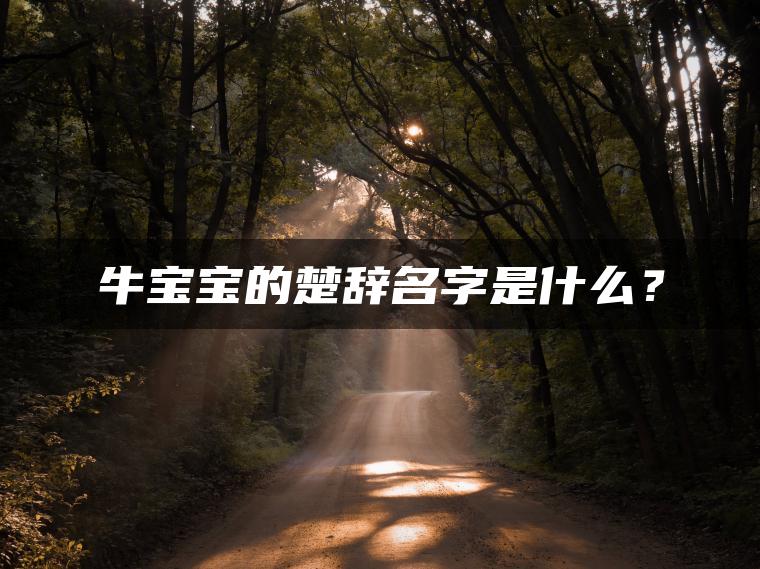 牛宝宝的楚辞名字是什么？