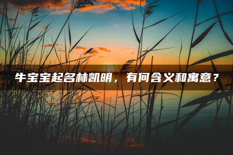 牛宝宝起名林凯明，有何含义和寓意？