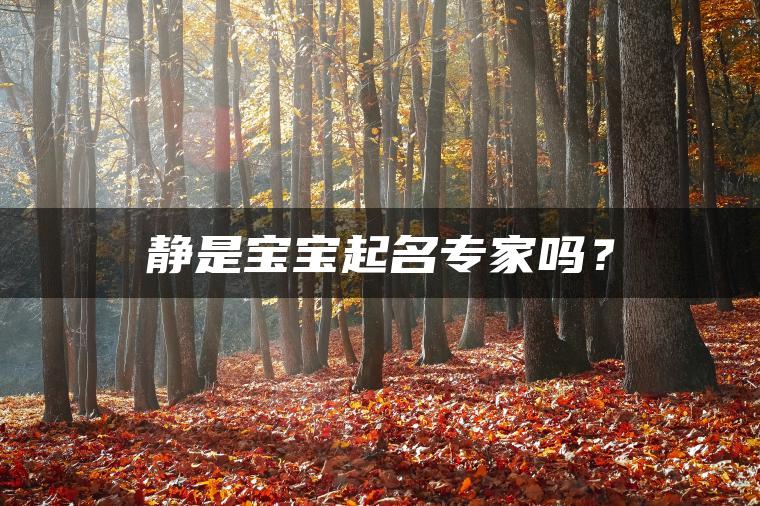 静是宝宝起名专家吗？