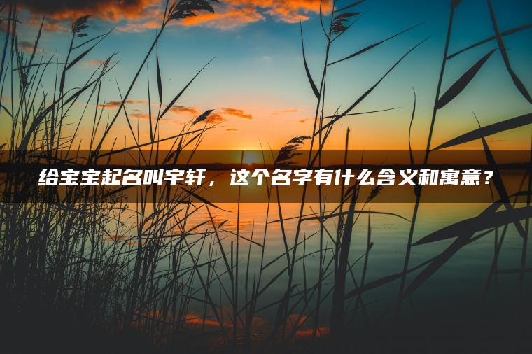 给宝宝起名叫宇轩，这个名字有什么含义和寓意？