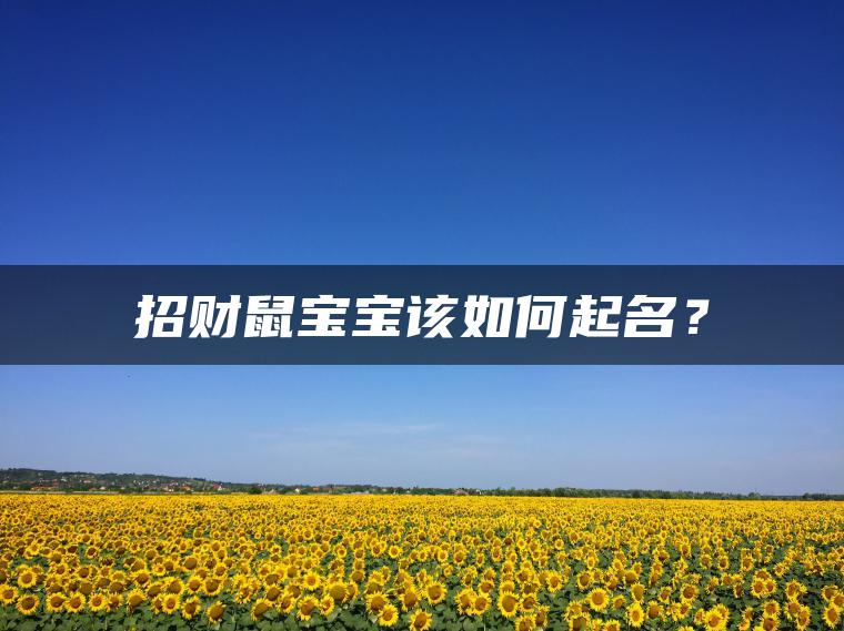 招财鼠宝宝该如何起名？