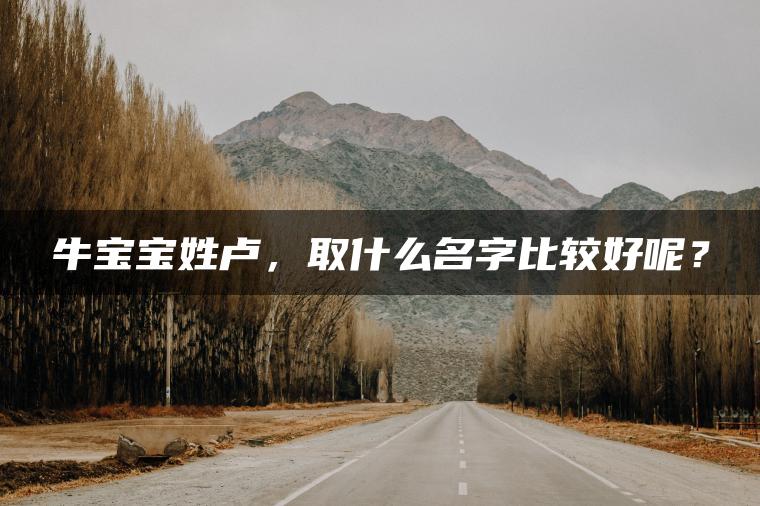 牛宝宝姓卢，取什么名字比较好呢？